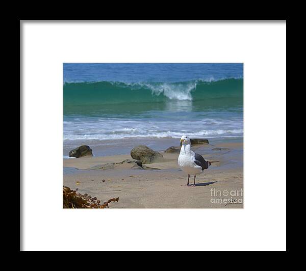 Surf Framed Print featuring the photograph Seriously by Suzette Kallen