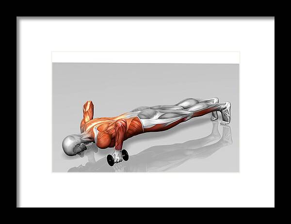 Horizontal Framed Print featuring the photograph Setanta Push Up (part 1 Of 2) by MedicalRF.com