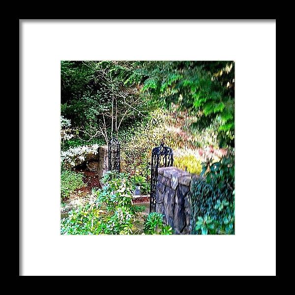 Gate Framed Print featuring the photograph Shades Of Green by Anna Porter
