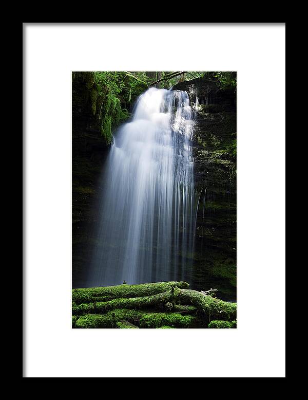 Moss Framed Print featuring the photograph Shadow Falls by Joseph Noonan