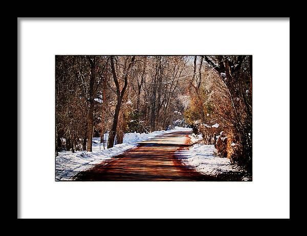 Road Framed Print featuring the photograph Shadowy Path by Lisa Spencer