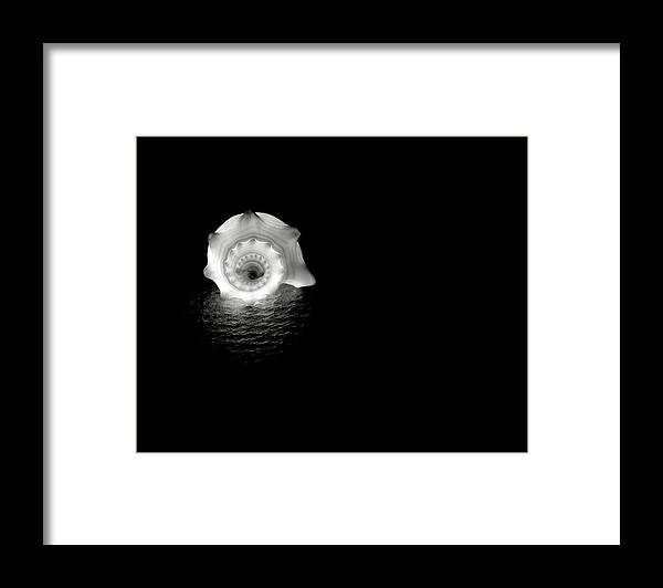 Shell Framed Print featuring the photograph Shell 1 by Mark Fuller