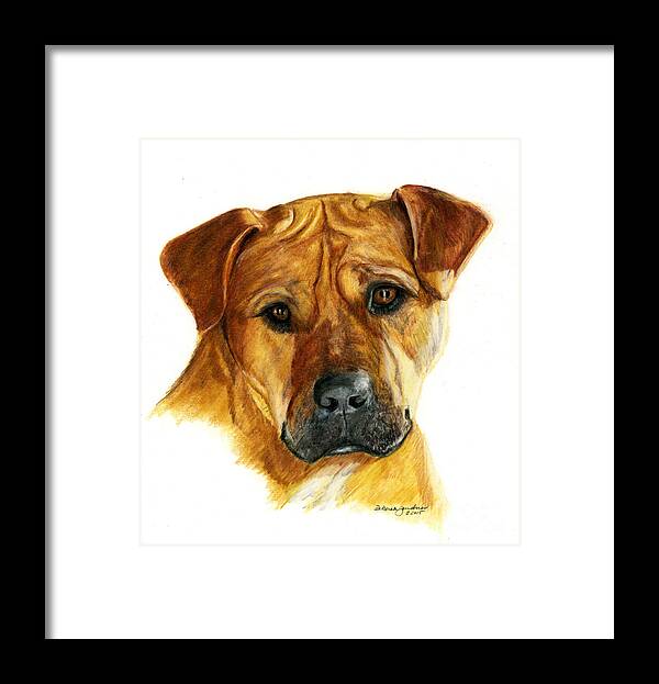 Dog Framed Print featuring the drawing Sherman by Deb Gardner