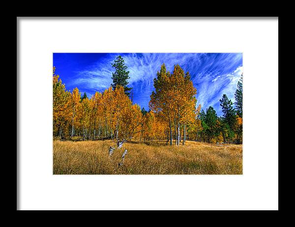 Aspen Trees Framed Print featuring the photograph Sierra Nevada Fall Colors Lake Tahoe by Scott McGuire