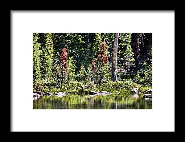 Reflective Lake Framed Print featuring the photograph Signs of Autumn by Bonnie Bruno