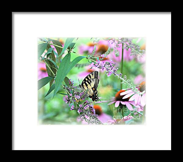 Simple Beauty Swallowtail Butterfly Print Framed Print featuring the photograph Simple Beauty by Lila Fisher-Wenzel