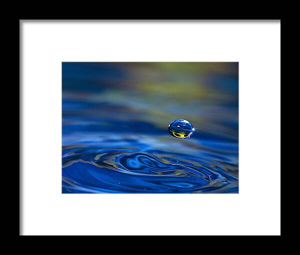 Single Framed Print featuring the photograph Single WaterDrop by Trudy Wilkerson