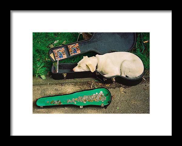 Dog Framed Print featuring the photograph Music Dog by Claude Taylor