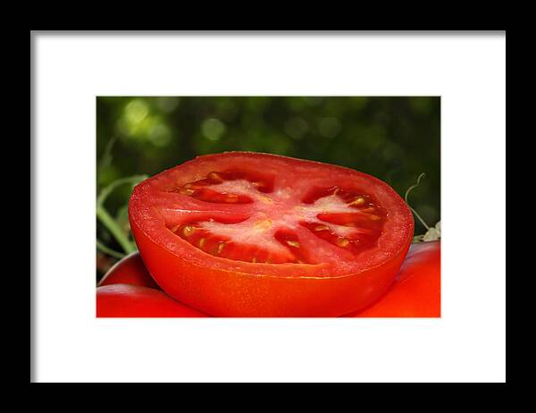 Tomato Framed Print featuring the photograph Sliced Tomato In The Garden by Tracie Schiebel