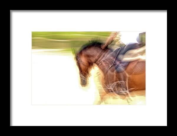 Horse Framed Print featuring the photograph Slow Dancing by Pamela Steege