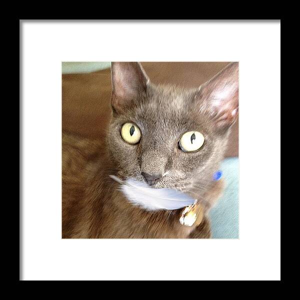 Catsofinstagram Framed Print featuring the photograph Smile by Cameron Bentley