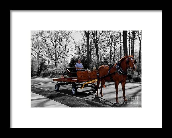 Smiling Horse Framed Print featuring the photograph Smiling Horse by Lee Dos Santos