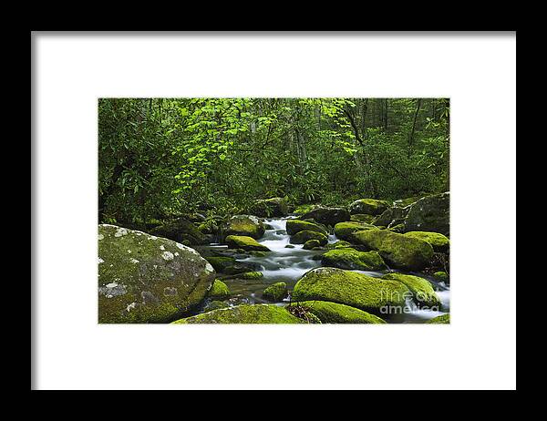 Smoky Mountains Framed Print featuring the photograph Smoky Mountains Waterfall by Dennis Flaherty and Photo Researchers