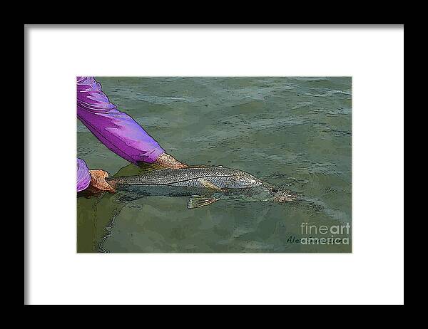 Bonefish Framed Print featuring the painting Snook Revival by Alex Suescun