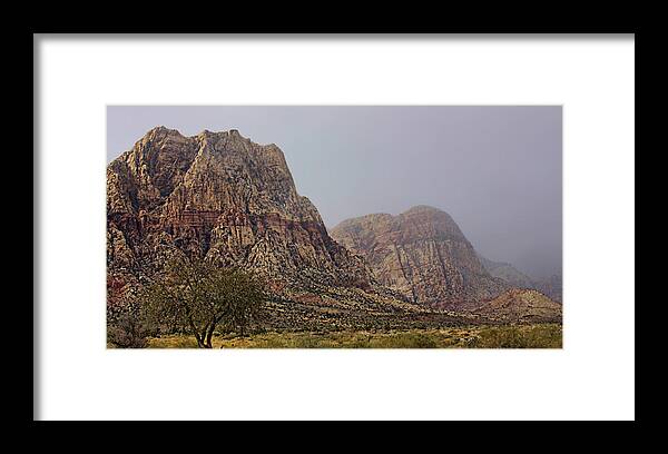 Desert Framed Print featuring the photograph Snow day in the desert by Tammy Espino