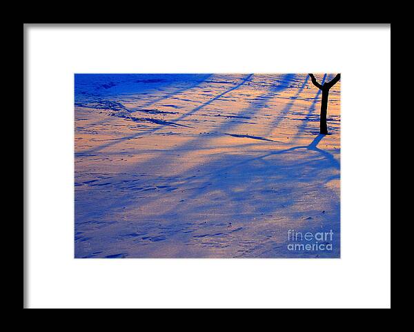Snow Framed Print featuring the photograph Snow Tree by Leela Arnet