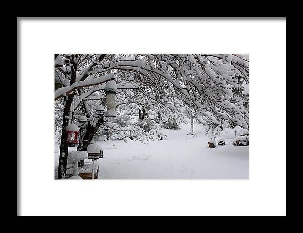 Snow Framed Print featuring the photograph Snowscape Four by Scott Brown