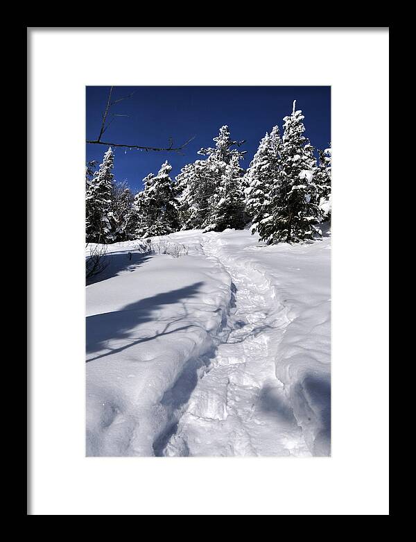 Winter Framed Print featuring the photograph Snowshoe trail by Peter DeFina