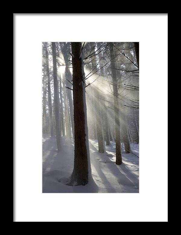 Mp Framed Print featuring the photograph Snowy Forest In Morning Sun, Bavaria by Konrad Wothe
