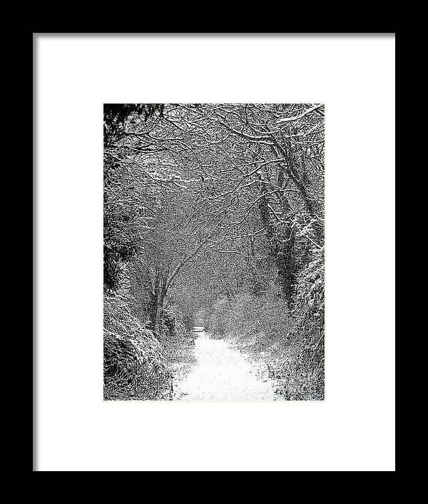 Snow Framed Print featuring the photograph Snowy path by Linsey Williams