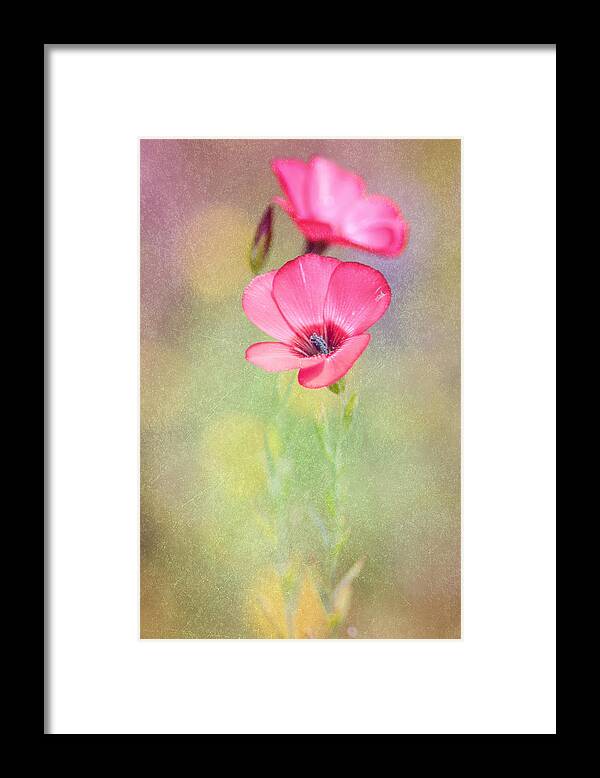 Wildflower Framed Print featuring the photograph So Alive by Joel Olives
