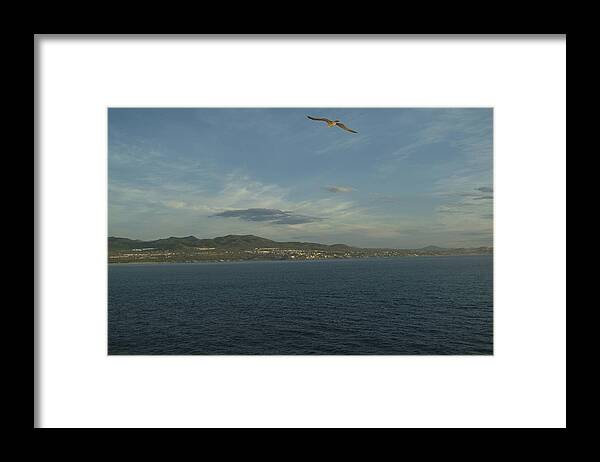 Seascape.land And Sea Framed Print featuring the photograph Solo Flight by Ralph Jones