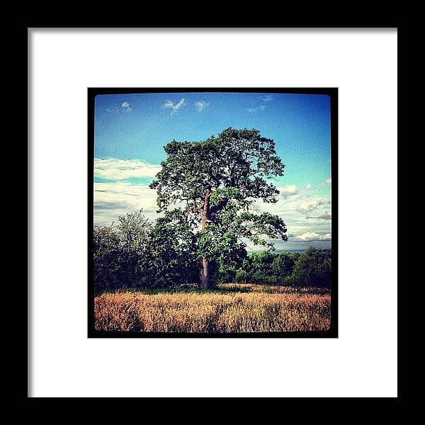 Instanaturelover Framed Print featuring the photograph #solo-tree #tree #grass #trees #field by Miss Wilkinson