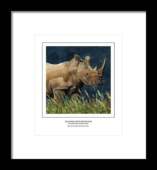 Rhinoceros Framed Print featuring the digital art Southern White Rhino by Owen Bell