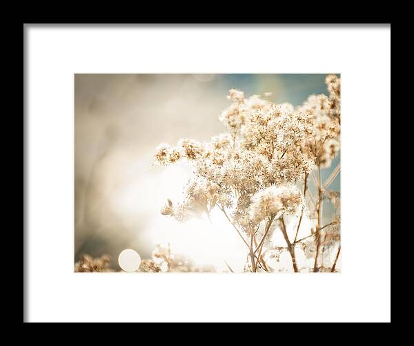 Landscape Framed Print featuring the photograph Sparkly Weeds by Cheryl Baxter