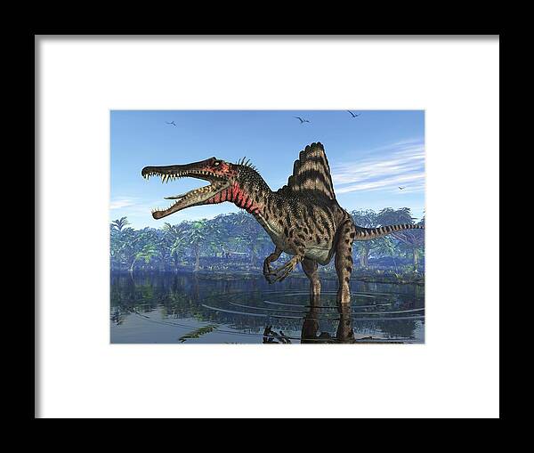 Spinosaurus Framed Print featuring the photograph Spinosaurus Dinosaur, Artwork by Walter Myers