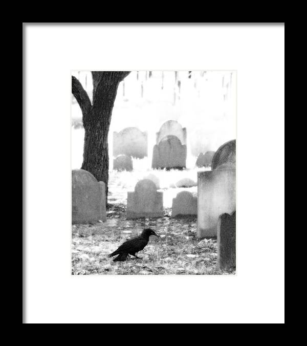 Crow Framed Print featuring the photograph Spirit Guardian by Brooke T Ryan