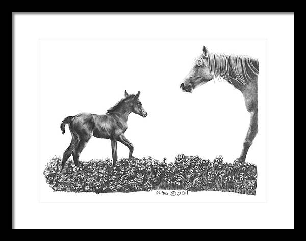 Graphite Framed Print featuring the drawing Spring deLights by Marianne NANA Betts