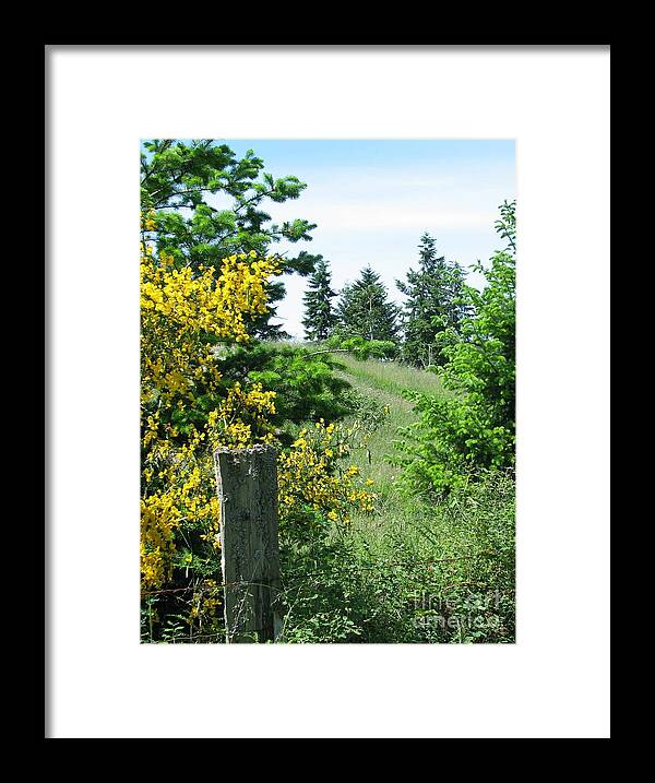 Landscape Framed Print featuring the photograph Spring Hillside by Rory Siegel