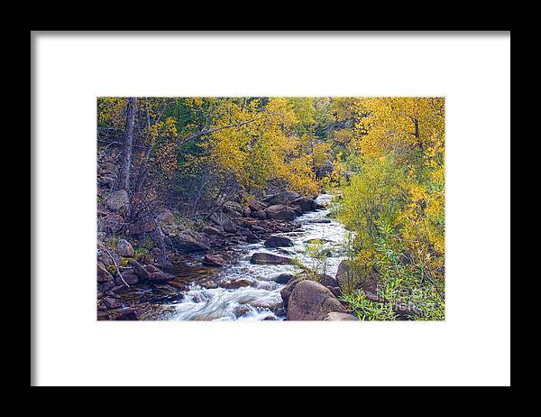 Autumn Framed Print featuring the photograph St Vrain Canyon and River Autumn Season Boulder County Colorado by James BO Insogna