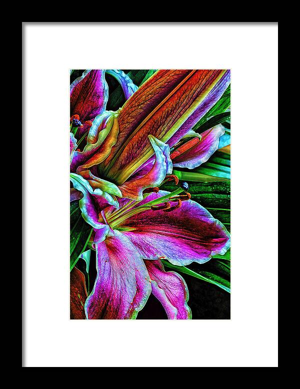 Flowers Framed Print featuring the photograph Stargazer Lilies Up Close and Personal by Bill and Linda Tiepelman