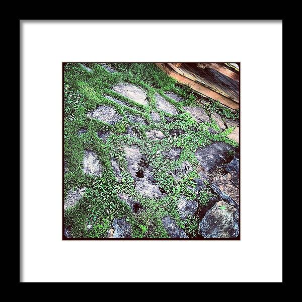 Stones Framed Print featuring the photograph Stepping Stones by Lori Lynn Gager