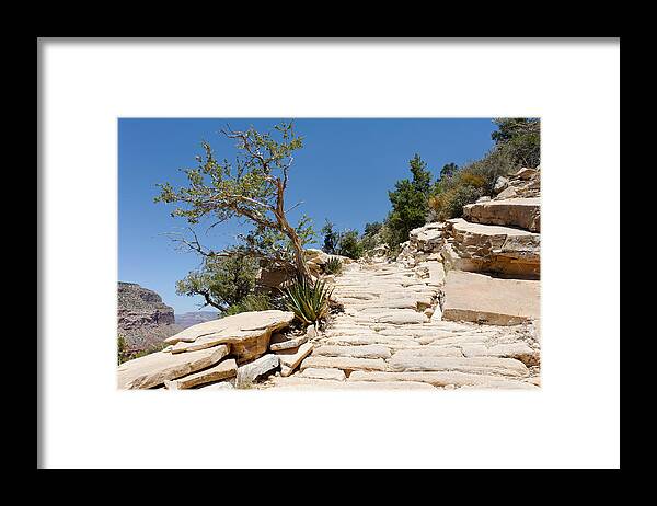 Trail Framed Print featuring the photograph Steps on the Hermit's Rest Trail II by Julie Niemela