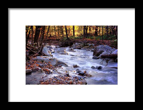 Vermont Framed Print featuring the photograph Stickney Brook by Tom Singleton