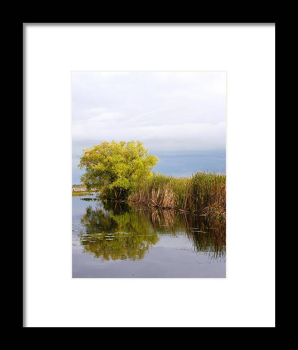 Nature Framed Print featuring the photograph Still Waters by Peggy King