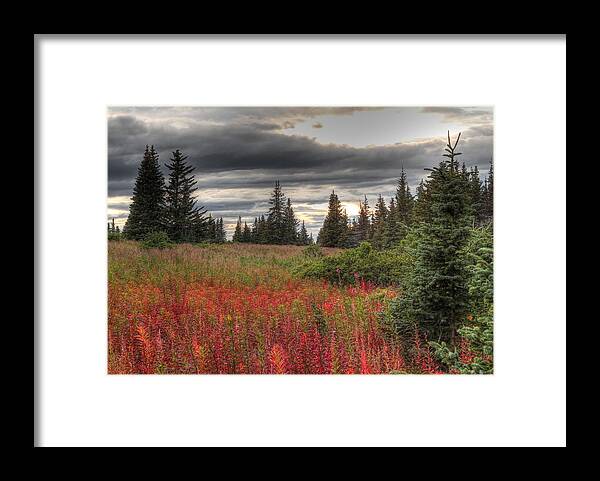 Clouds Framed Print featuring the photograph Storm Clouds in Fall by Michele Cornelius