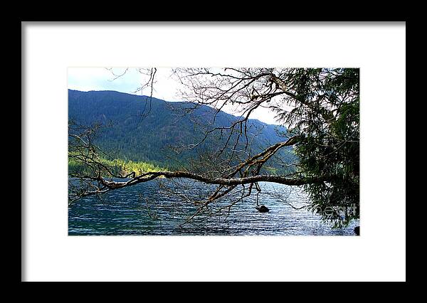 National Parks Framed Print featuring the photograph Stretching by Tatyana Searcy