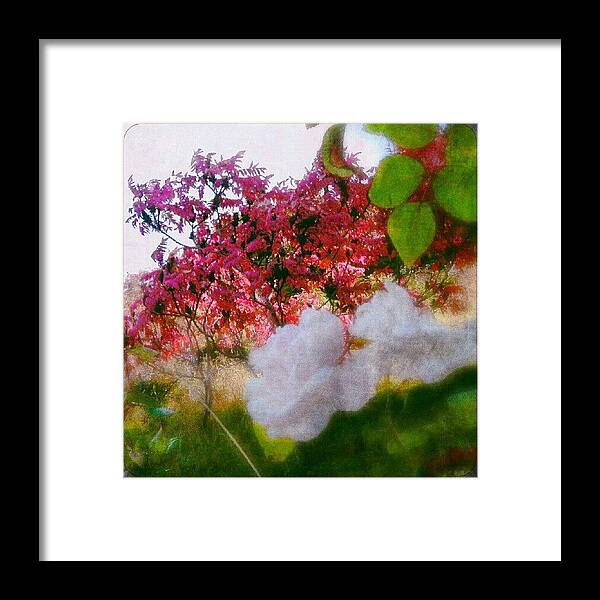 Autumn Framed Print featuring the photograph sumac and Late roses by Linandara Linandara
