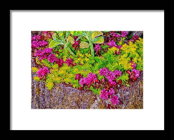 Flowers Framed Print featuring the photograph Summer Delight by Ken Stanback