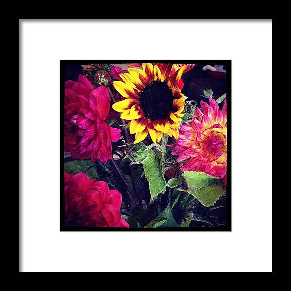  Framed Print featuring the photograph Summer Flowers by Gracie Noodlestein