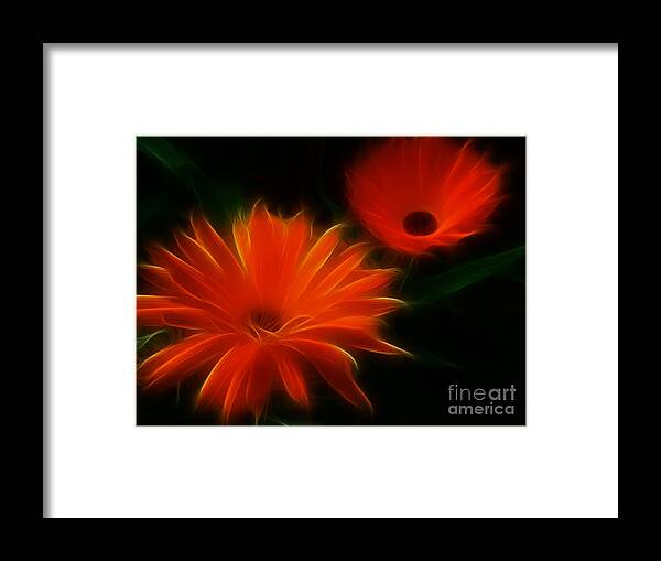 Flowers Framed Print featuring the photograph Summer Heat by Yvonne Johnstone