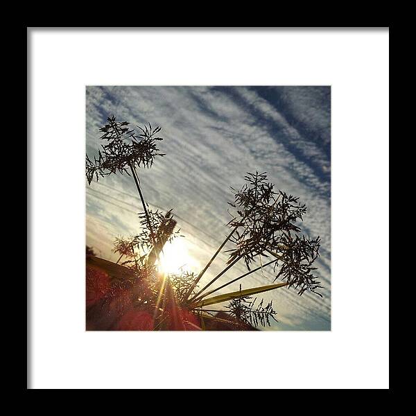 Sun Framed Print featuring the photograph #sun #sky #cloud #photooftheday by Ariel Cugenotta