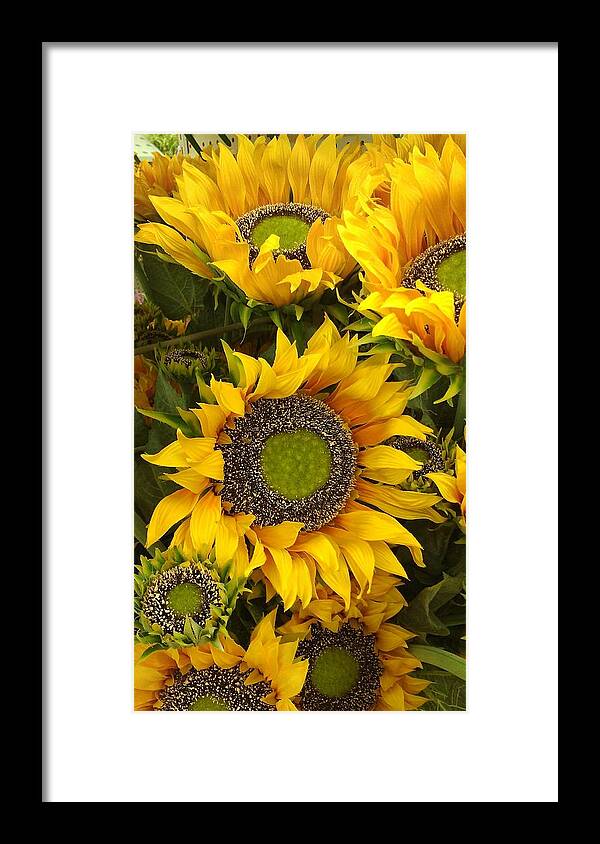 Sunflowers Framed Print featuring the photograph Sunflowers by Tim Donovan