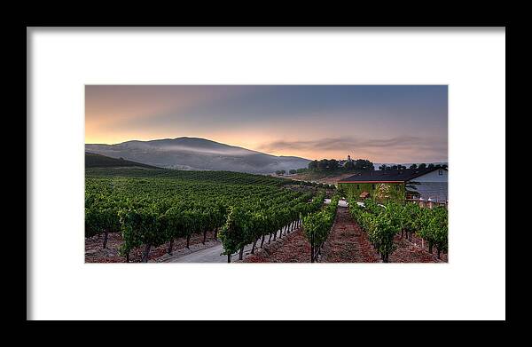California Framed Print featuring the photograph Sunrise over the Vineyard by Peter Tellone