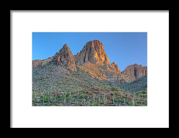 Cacti Framed Print featuring the photograph Sunrise Superstition Mountains by Dean Pennala