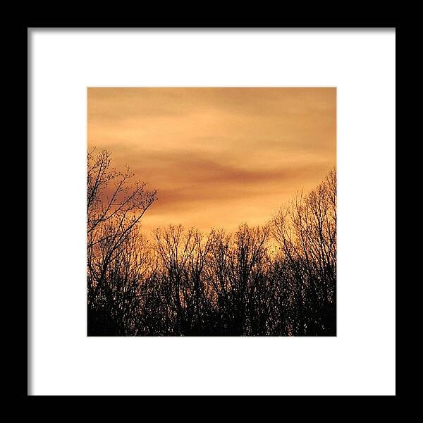 Dusk Framed Print featuring the photograph Sunset & Trees by Kelli Stowe